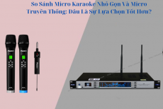 So Sánh Micro Karaoke Nhỏ Gọn Và Micro Truyền Thống: Đâu Là Sự Lựa Chọn Tốt Hơn?