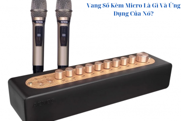 Vang Số Kèm Micro Là Gì Và Ứng Dụng Của Nó?