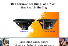 Dàn Karaoke Nên Dùng Loa Từ Neo Hay Loa Từ Thường