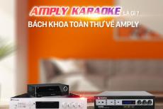 Amply Karaoke Là Gì? Bách Khoa Toàn Thư Về Amply Karaoke?