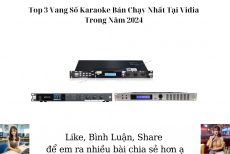 Top 3 Vang Số Karaoke Bán Chạy Nhất Tại Vidia Trong Năm 2024