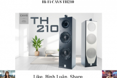 Những Điểm Ăn Tiền Của Dòng Loa Karaoke Hi-Fi CAVS TH210