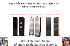 Top 3 Mẫu Loa Đứng Karaoke Bán Chạy Nhất Vidia Trong Năm 2024