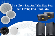 Lựa Chọn Loa Âm Trần Hay Loa Treo Tường Cho Quán Ăn?