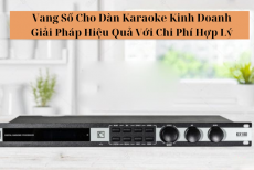 Vang Số Cho Dàn Karaoke Kinh Doanh – Giải Pháp Hiệu Quả Với Chi Phí Hợp Lý