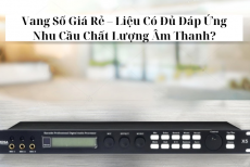 Vang Số Giá Rẻ – Liệu Có Đủ Đáp Ứng Nhu Cầu Chất Lượng Âm Thanh?