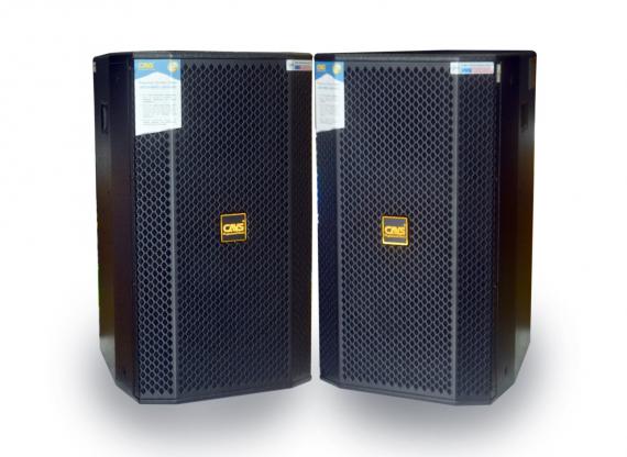 Loa Full CAVS P12-PRO