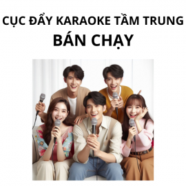 Main Karaoke Kinh Doanh Tầm Trung Bán Chạy - Vidia