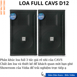 Loa Full CAVS D12