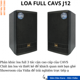 Loa full CAVS J12
