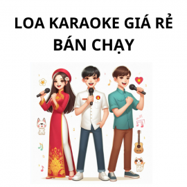 Loa Karaoke Gia Đình Giá Rẻ Bán Chạy - Vidia
