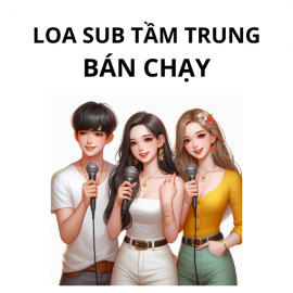 Sub Karaoke Tầm Trung 3 Tấc Bán Chạy - Vidia