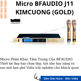 Micro Karaoke Không Dây BFaudio Pro J11