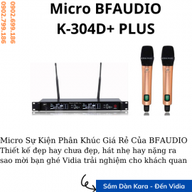 BFAUDIO K-304D+ Plus