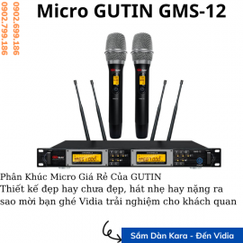Micro Gutin GMS12