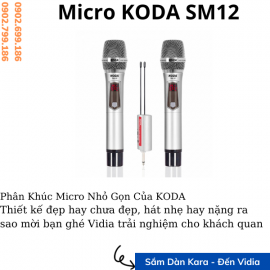 Micro KODA SM12