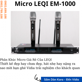 Micro LEQI EM-1000