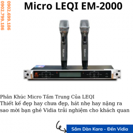 Micro LEQI EM-2000