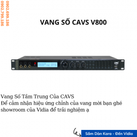 Vang số CAVS V800