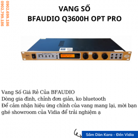 BFAudio Q3600H OPT Pro
