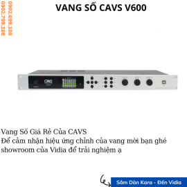 Vang số CAVS V600