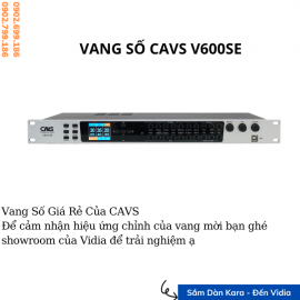 Vang số CAVS V600SE