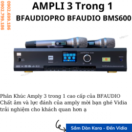 Amply Karaoke BFAudio BMS600 - Amply Chuẩn - Đẳng Cấp Amply Số