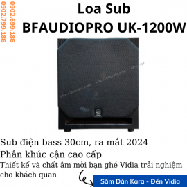 Loa Sub BFAUDIOPRO UK-1200W