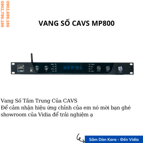 Vang Số CAVS MP800