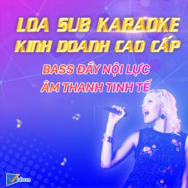 Loa Sub Karaoke Kinh Doanh Cao Cấp 4.5 Tấc Bán Chạy - Vidia -2023