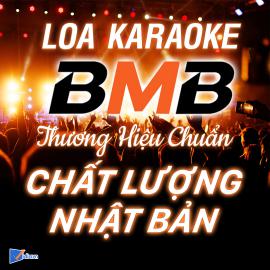 Loa Karaoke BMB