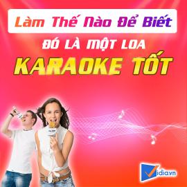 Loa Karaoke Tốt