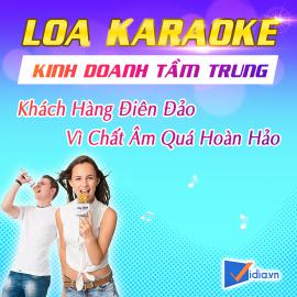 Loa Karaoke Kinh Doanh Tầm Trung Bán Chạy Vidia - 2023