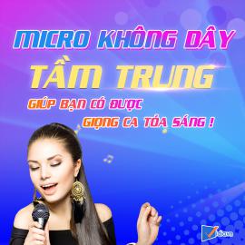 Micro Karaoke Không Dây Tầm Trung Bán Chạy Vidia -2022