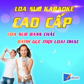 Sub Karaoke Cao Cấp 3 Tấc Bán Chạy - Vidia - 2022