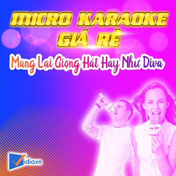 Micro Karaoke Không Dây Giá Rẻ Bán Chạy Vidia -2022