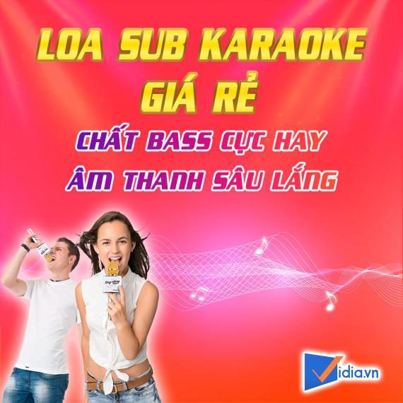 Sub Karaoke Giá Rẻ 3 Tấc Bán Chạy - Vidia - 2022
