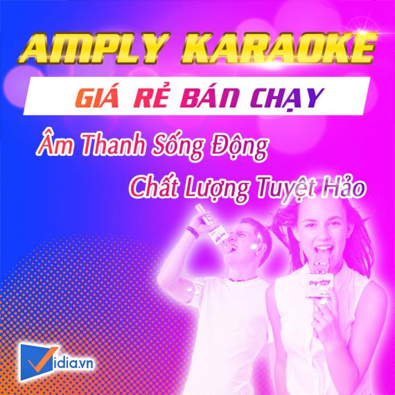 Amply Karaoke Giá Rẻ Bán Chạy - Vidia - 2023