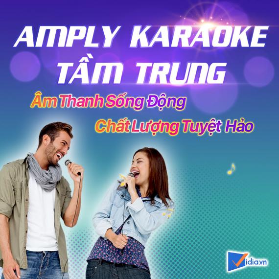 Amply Karaoke Tầm Trung Bán Chạy Vidia - 2022