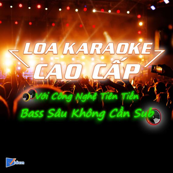 Loa Karaoke Gia Đình Cao Cấp Bán Chạy - Vidia - 2023