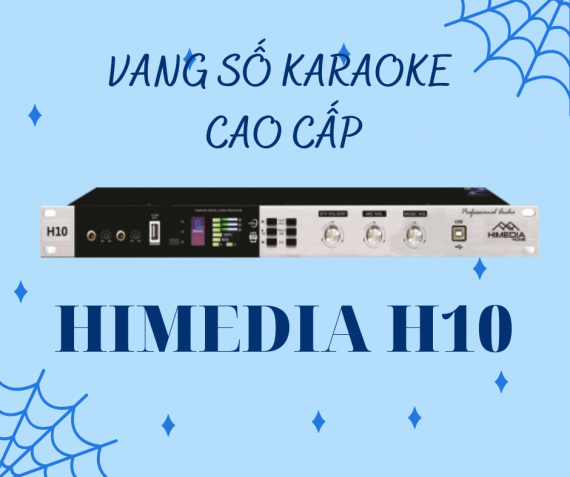 Vang Số Karaoke Cao Cấp Himedia H10