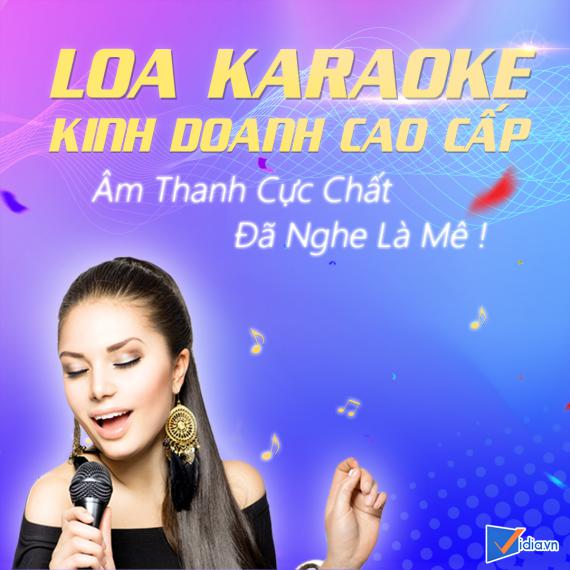 Loa Karaoke Kinh Doanh Cao Cấp Bán Chạy Vidia - 2023