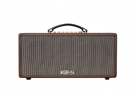 Loa ACNOS CS366PLUS
