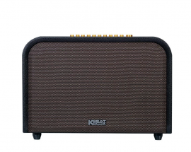 Loa ACNOS ACOUSTIC 3