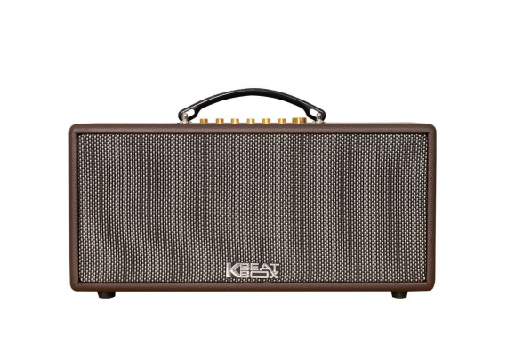 Loa ACNOS CS366PLUS