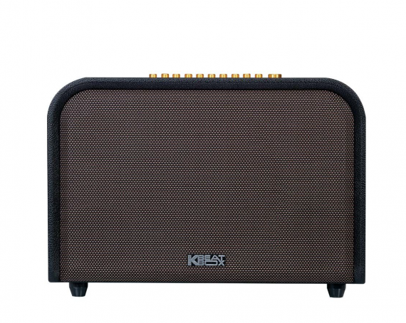 Loa ACNOS ACOUSTIC 3