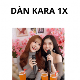 Dàn Karaoke Vidia 1X