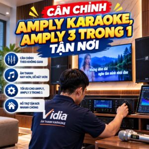 Cân Chỉnh Amply Karaoke, Amply 3 Trong 1 Tận Nơi